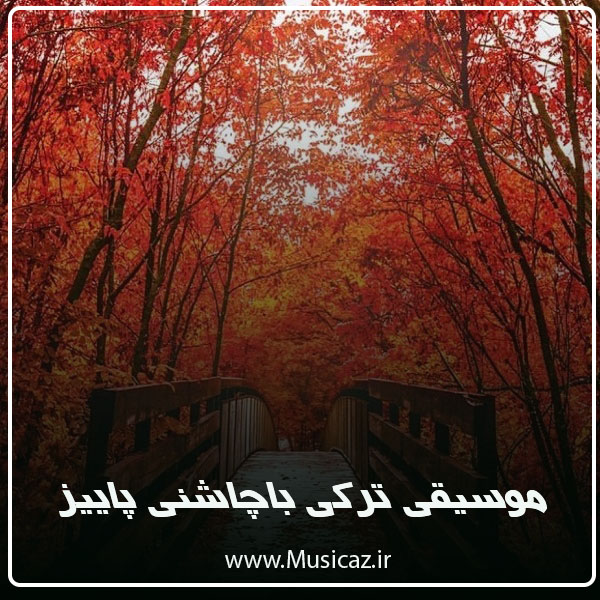 دانلود آهنگ ترکی برای پاییز 2024