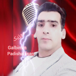 دانلود آهنگ اکبر نامی قلبیمین پادیشاهیسان