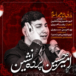 دانلود مداحی امیرحسین پرده نشین یارالی شاهیم السلام