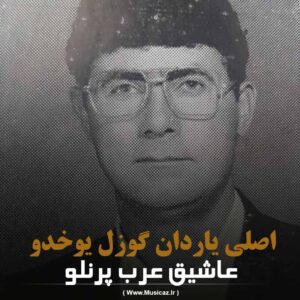 دانلود آهنگ عاشیق عرب پرنلو به نام اصلی یاردان گوزل یوخدو