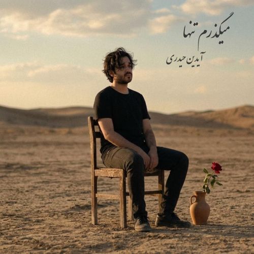 دانلود آهنگ آیدین حیدری بنام میگذرم تنها