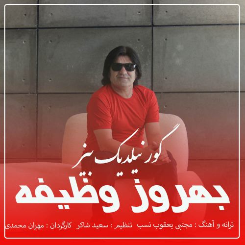 دانلود آهنگ بهروز وظیفه به نام گور نیلدیک بیز