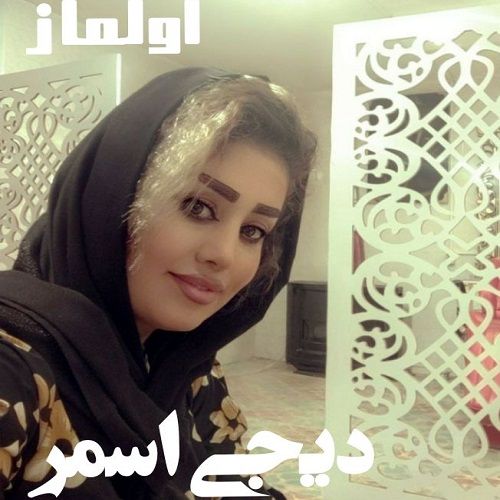دانلود آهنگ دیجی اسمر به نام اولماز