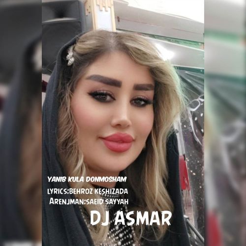 دانلود آهنگ دیجی اسمر به نام یانیب کوله دونرم من