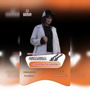 دانلود آهنگ دیجی باران توکلی به نام گوله گوله