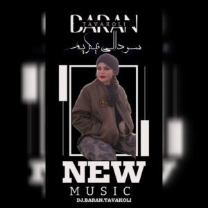 دانلود آهنگ دیجی باران توکلی به نام سودالی فکریم