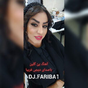 دانلود آهنگ دی جی فریبا بنام بئی گلین
