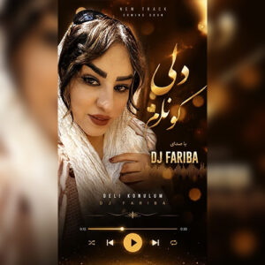 دانلود آهنگ دلی کونلوم از دی جی فریبا