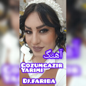 دانلود آهنگ گوزوم گزیر یاریمی از دی جی فریبا