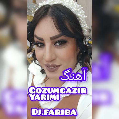 دانلود آهنگ گوزوم گزیر یاریمی از دی جی فریبا