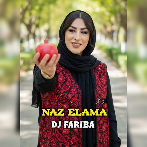 دانلود آهنگ دی جی فریبا به نام ناز ائلمه