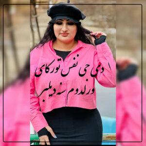 دانلود آهنگ دیجی نفس تورکای به نام ورولدوم سنه دیلبر
