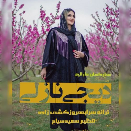 دانلود آهنگ دی جی نازلی به نام هارداسان مارالیم