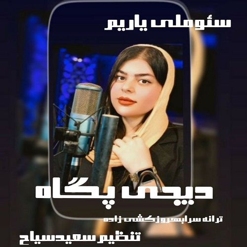 دانلود آهنگ دیجی پگاه به نام سئوملی یاریم