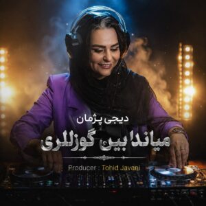 دانلود آهنگ دیجی پژمان بنام میاندابین گوزللری