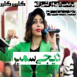 دانلود آهنگ دی جی سمیرا به نام بو توی مبارک السون