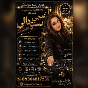 دانلود آهنگ بیری وار از دیجی سئودالی