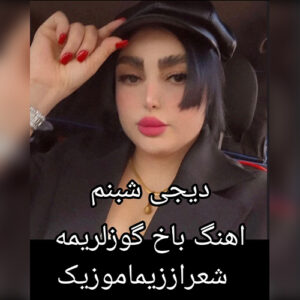 دانلود آهنگ باخ گوزلریمه از دی جی شبنم