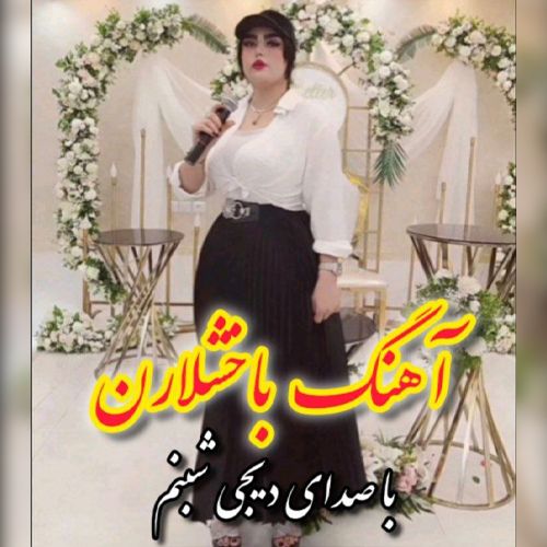 دانلود آهنگ دی جی شبنم به نام باخشلارن