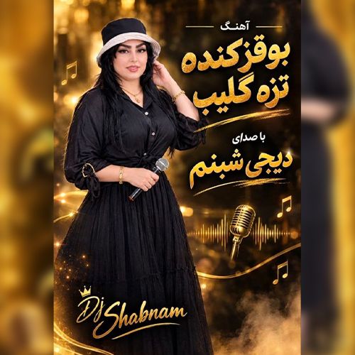 دانلود آهنگ دی جی شبنم  بنام بو قیز کنده تزه گلیب