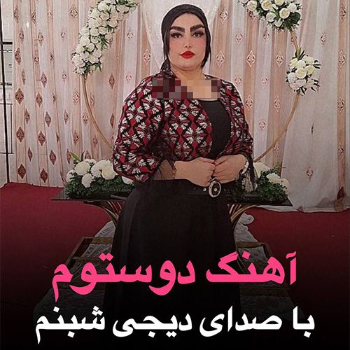 دانلود آهنگ دی جی شبنم به نام دوستوم