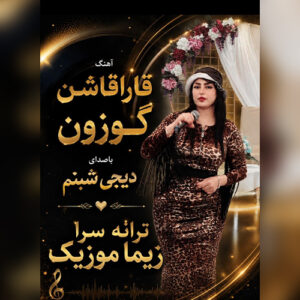 دانلود آهنگ دی جی شبنم بنام قارا قاشون گوزون