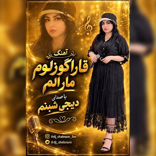 دانلود آهنگ دی جی شبنم  بنام قارا گوزلوم مارالم