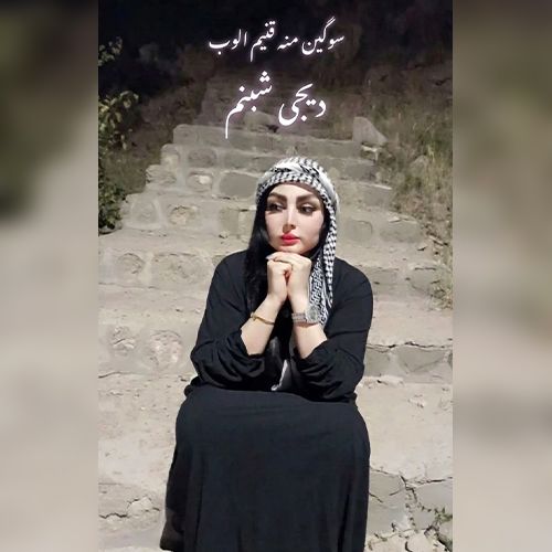 دانلود آهنگ سوگین منه قنیم الوب از دی جی شبنم 
