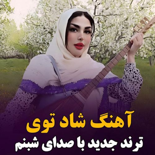 دانلود آهنگ دی جی شبنم به نام توی