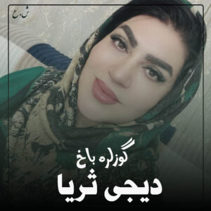 دانلود آهنگ دیجی ثریا به نام گوزلره باخ