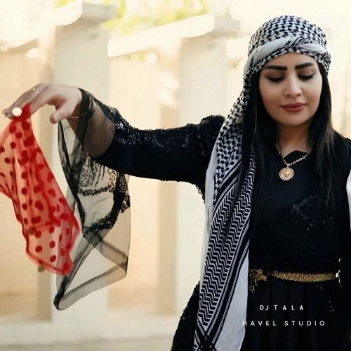 دانلود آهنگ دیجی طلا به نام دو گل عشقیم