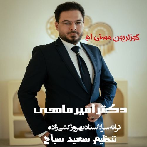 دانلود آهنگ دکتر امیر ماهی به نام گوزلرون مستی م