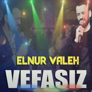 دانلود آهنگ النور واله به نام وفاسیز