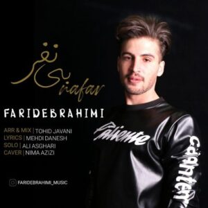 دانلود آهنگ فرید ابراهیمی به نام بی نفر