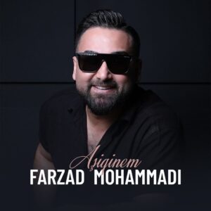 دانلود آهنگ فرزاد محمدی عاشیقینم