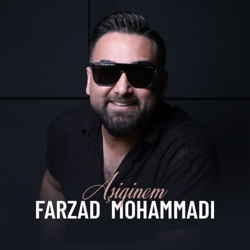 دانلود آهنگ فرزاد محمدی عاشیقینم