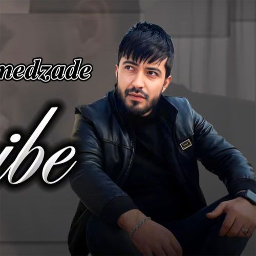 دانلود آهنگ فرید احمدزاده نجیبه