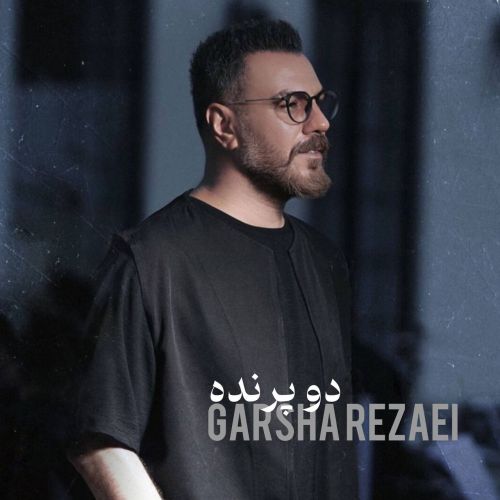 دانلود آهنگ گرشا رضایی به نام دو پرنده
