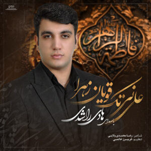 دانلود مداحی هادی راشدی علی نی تک قویان زهرا