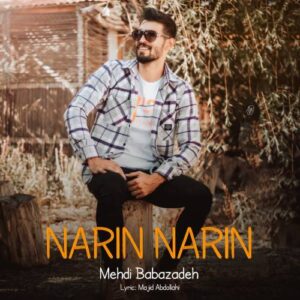 دانلود آهنگ مهدی بابازاده به نام نارین نارین