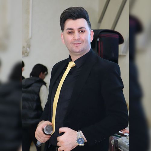 دانلود آهنگ مهدی سرداری دیوانه