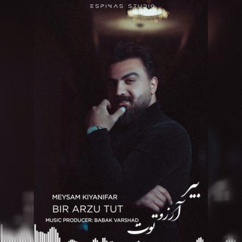 دانلود آهنگ میثم کیانی فر بیر آرزو توت دانلود آهنگ میثم کیانی فر بیر آرزو توت