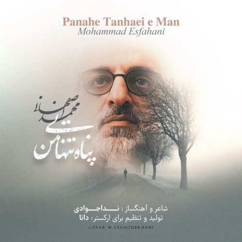 دانلود آهنگ محمد اصفهانی به نام پناه تنهایی من دانلود آهنگ محمد اصفهانی به نام پناه تنهایی من