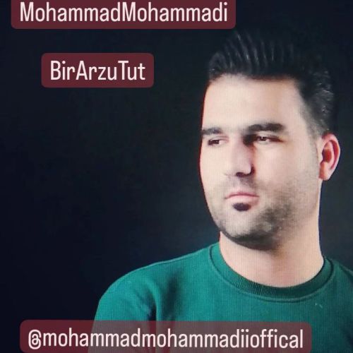 دانلود آهنگ محمد محمدی بیر آرزو توت دانلود آهنگ محمد محمدی بیر آرزو توت