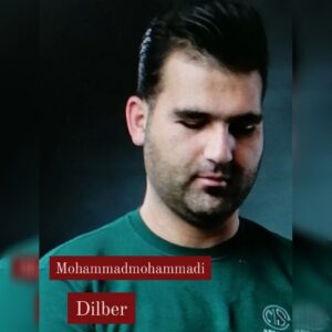 دانلود آهنگ محمد محمدی دیلبر