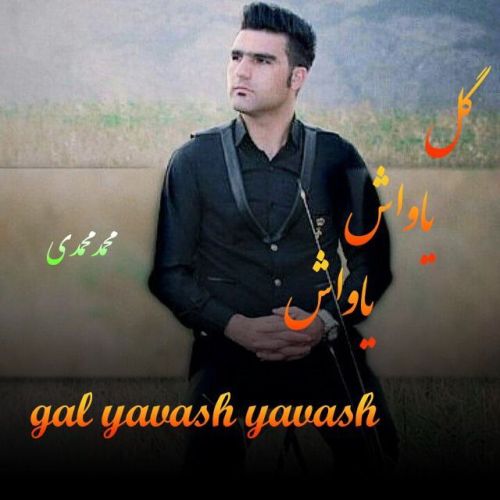 دانلود آهنگ محمد محمدی گل یاواش یاواش