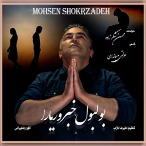 دانلود آهنگ محسن شکرزاده بولبول خبر ور یارا