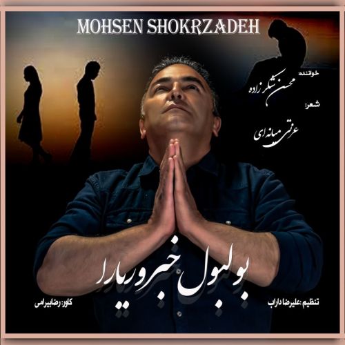 دانلود آهنگ محسن شکرزاده بولبول خبر ور یارا