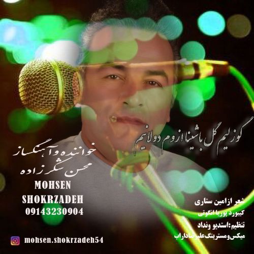 دانلود آهنگ محسن شکرزاده گوزلیم گل باشینا ٱزوم دولانیم دانلود آهنگ محسن شکرزاده گوزلیم گل باشینا ٱزوم دولانیم