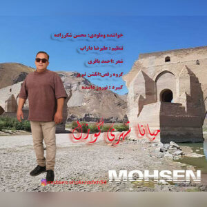 دانلود آهنگ محسن شکرزاده میانه شهری گوزل